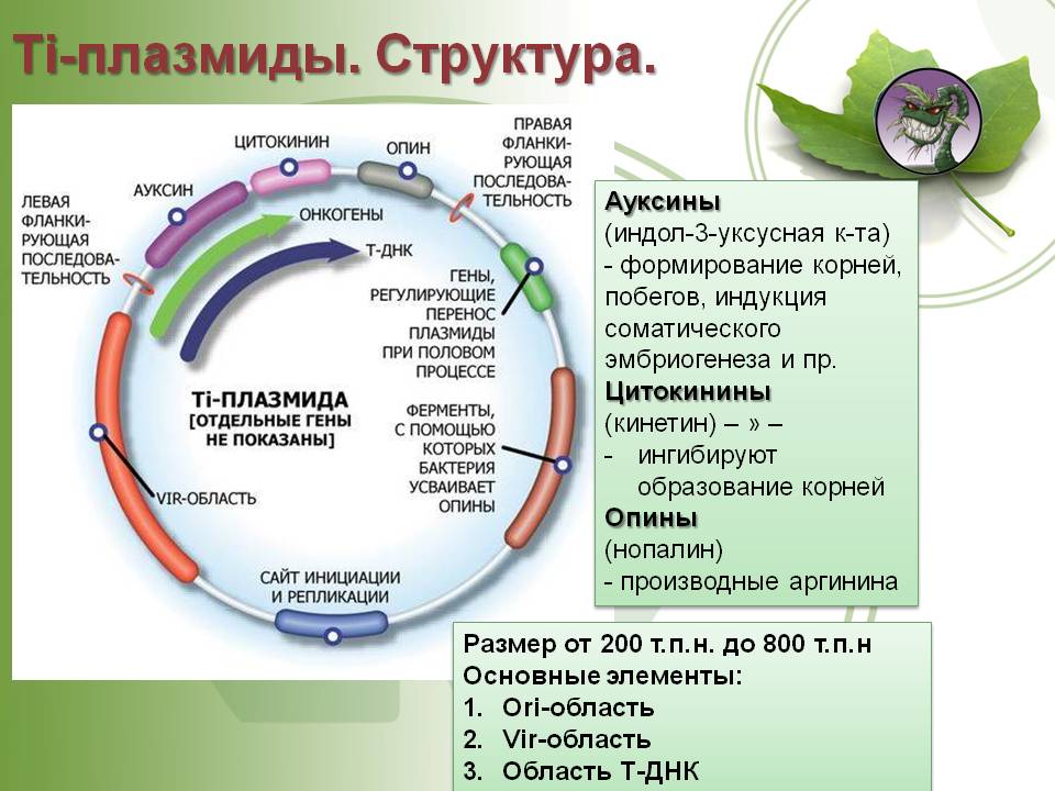 Почему не заходит на кракен